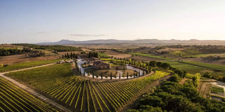 Avignonesi
