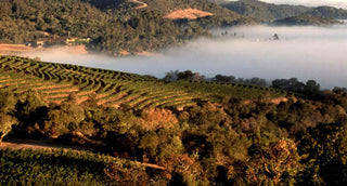 Harlan Estate