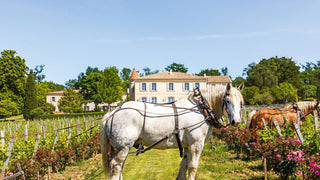 Château Troplong Mondot