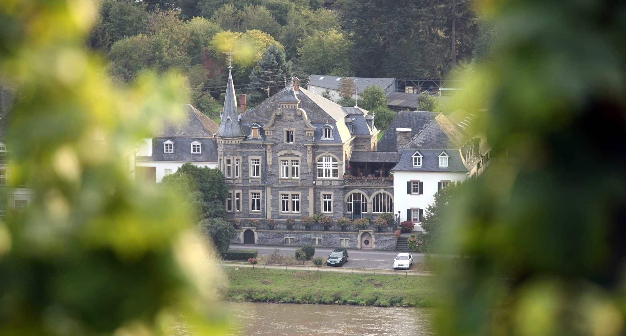 Weingut Joh. Jos. Prüm | Vintage Grapes GmbH