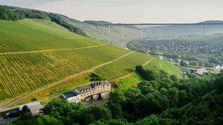 Weingut Markus Molitor