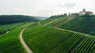 Weingut Dautel