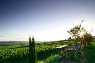Weingut Keller