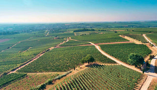 Weingut Wittmann