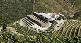 Niepoort