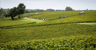 Château Cos d’Estournel