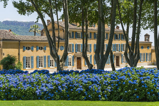 Château d´Esclans