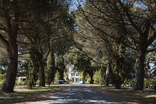 Château Monbrison