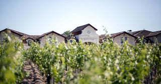 Château Pontet-Canet