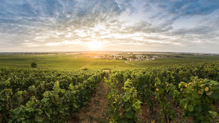 Domaine François Bertheau