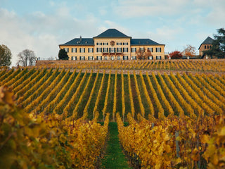 Domäne Schloss Johannisberg