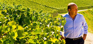 Azienda Agricola Dal Forno Romano