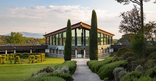 Tenuta Dell` Ornellaia