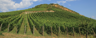 Domaine Zind-Humbrecht