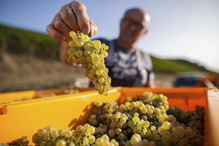 Weingut Kloster Eberbach
