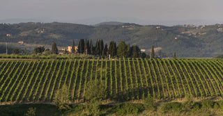 Marchesi Antinori