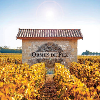 Château Ormes De Pez