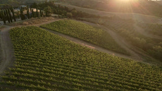 Fattoria Le Pupille