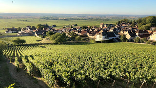 Domaine Marquis d´Angerville
