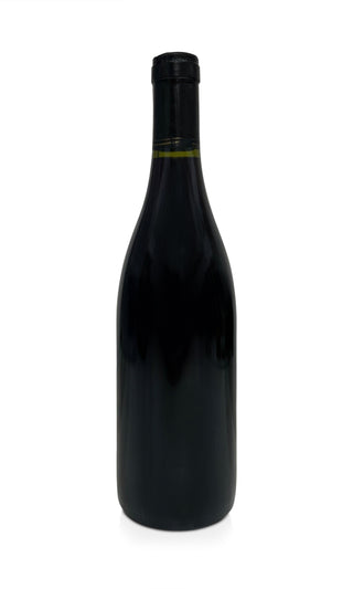 Gigondas 1998 - Château de Saint Cosme - Vintage Grapes GmbH