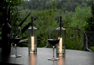 Bottlelight Warmweiß-LED - Bottlelight Company - Vintage Grapes GmbH