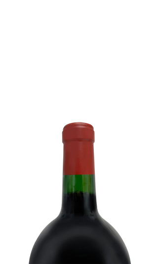 Malbec Argentino Doppelmagnum 2021 - Catena Zapata - Vintage Grapes GmbH