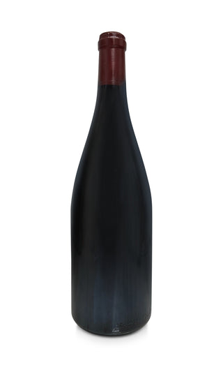 Beaune Clos des Mouches 1er Cru Magnum 1999 - Domaine Thierry Violot-Guillemard - Vintage Grapes GmbH