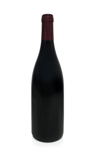 Gevrey Chambertin Mes Favourites Vieilles Vignes 1999 - Domaine Alain Burguet - Vintage Grapes GmbH