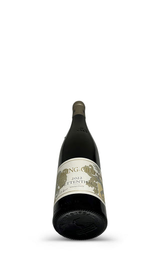 Pettenthal Riesling Großes Gewächs 2022 - Weingut Kühling-Gillot - Vintage Grapes GmbH