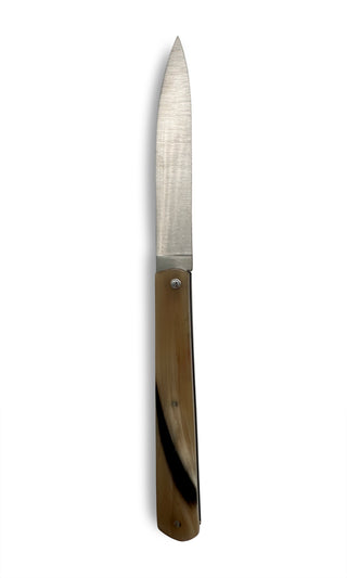 Klappmesser Hornspitze