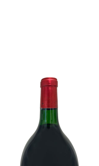 Château Palmer Magnum 1989 - Château Palmer - Vintage Grapes GmbH