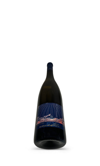 Unendlich Grüner Veltliner Smaragd Magnum 2017 - F.X.Pichler - Vintage Grapes GmbH