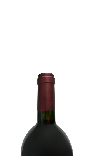 SA'ETTA 1997 - Monte Bernardi - Vintage Grapes GmbH