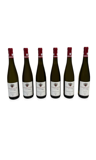 Terroir Kiste 2022 - Schloss Lieser - Vintage Grapes GmbH