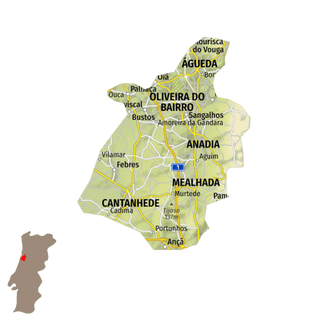 Region Bairrada