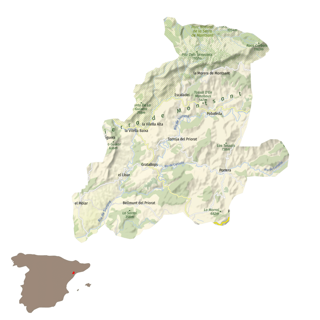 Region Priorat | Vintage Grapes GmbH