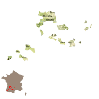 Region Sud-Ouest