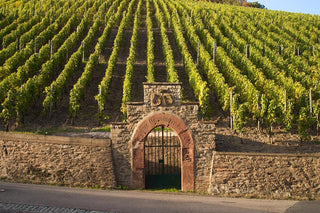 Weingut Maximin Grünhaus