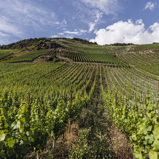 Weingut Wegeler