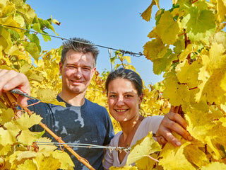 Weingut Schäfer-Fröhlich
