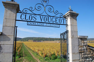 Domaine Jean Grivot