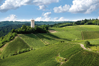 Weingut Robert Weil