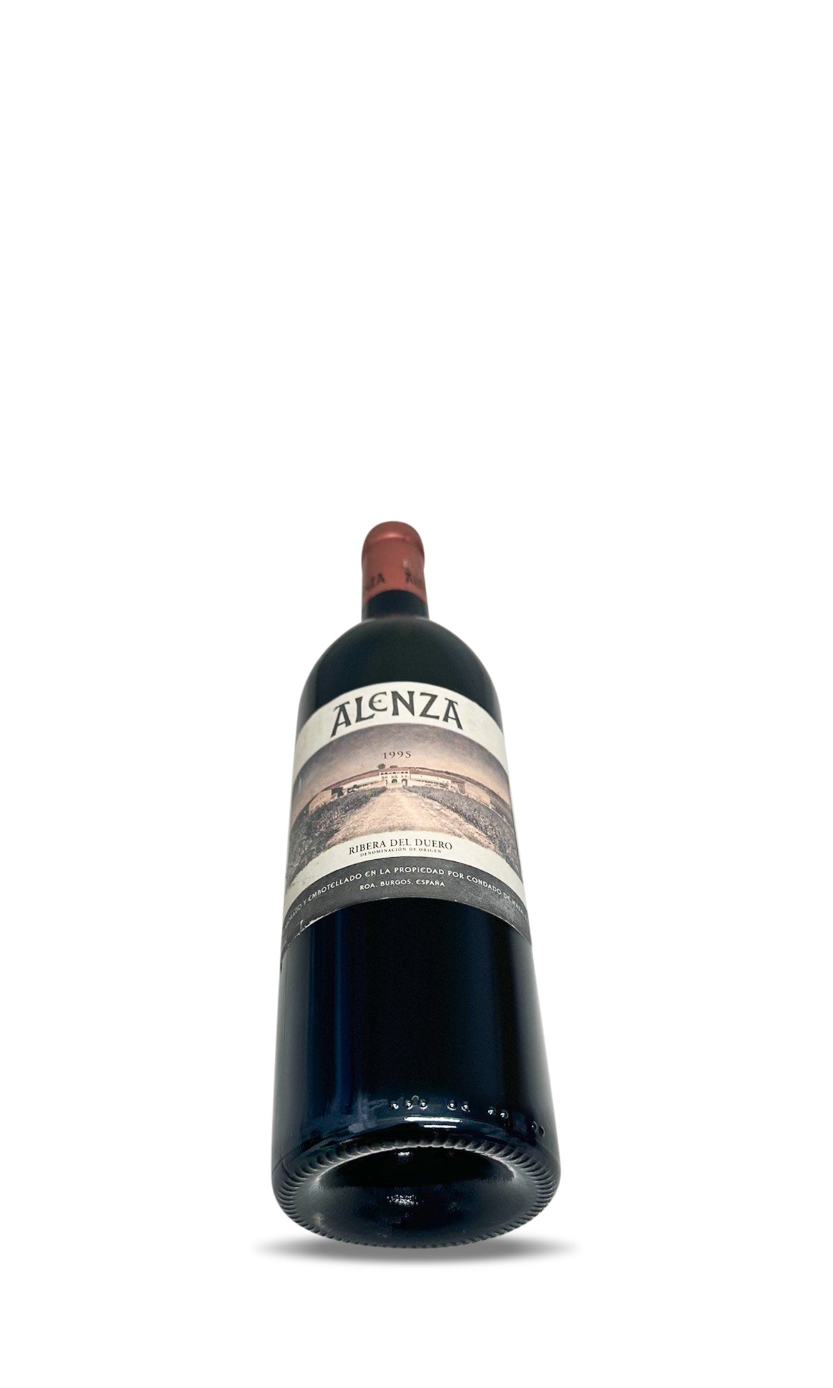1995年 Crianza Duero del Ribera Alenza 1995 Gran Janus Duero del Ribera Fernández Alejandro Bodegas ワイン