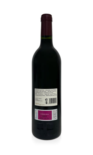 Alion Ribera del Duero 2019 - Vega Sicilia - Vintage Grapes GmbH
