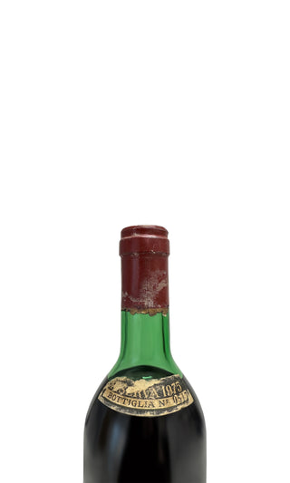 Brunello di Montalcino Greppo Annata 1975