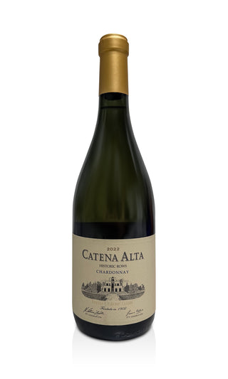 Alta Chardonnay 2022 - Catena Zapata - Vintage Grapes GmbH