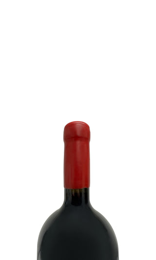 Cabernet Sauvignon Valle de Maipo Magnum 1er OWC 2021 - Vinedo Chadwick - Vintage Grapes GmbH