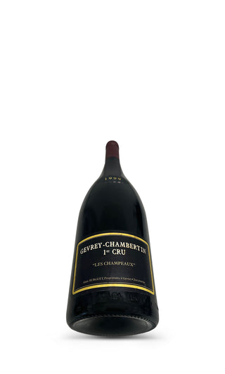 Gevrey Chambertin Les Champeaux 1er Cru Magnum 1999