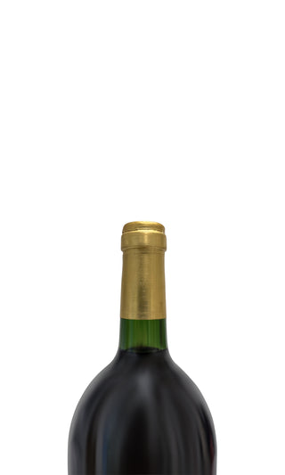Château Clinet Magnum 1998 - Château Clinet - Vintage Grapes GmbH