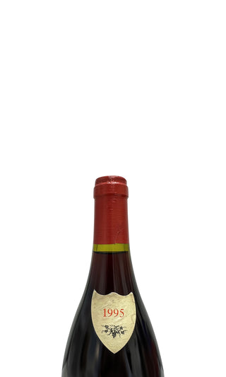 Mazis-Chambertin Grand Cru 1995 - Domaine Henri Rebourseau - Vintage Grapes GmbH